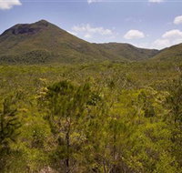 Kutini-Payamu Iron Range National Park CYPAL - Accommodation Brunswick Heads
