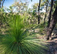 Brisbane Ranges National Park - Accommodation Brunswick Heads
