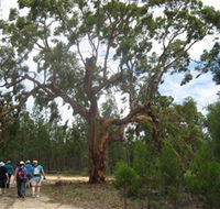 Koorilgur Nature Reserve - Accommodation Brunswick Heads
