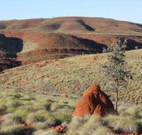 Camel Trail Millstream-Chichester National Park - Accommodation Brunswick Heads