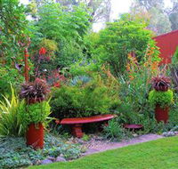 Out of Town Nursery and Humming Garden - Accommodation Brunswick Heads