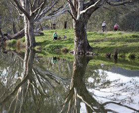 Wagirra Trail And Yindyamarra Sculpture Walk - Accommodation Brunswick Heads 1