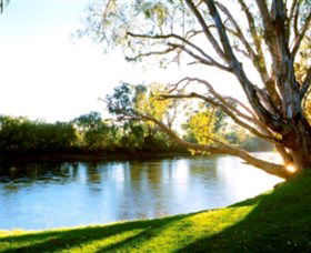 Albury - Murray River Precinct - Accommodation Brunswick Heads 0