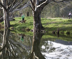 Albury - Murray River Precinct - Accommodation Brunswick Heads 3