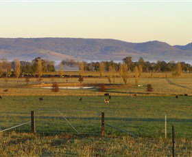 Holbrook NSW Accommodation Brunswick Heads