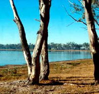 Lake Broadwater Conservation Park - Accommodation Brunswick Heads