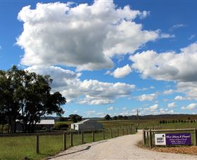 Short Sheep Micro-Winery - Accommodation Brunswick Heads 8