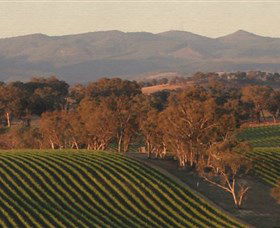 Angullong Wines - Accommodation Brunswick Heads 0