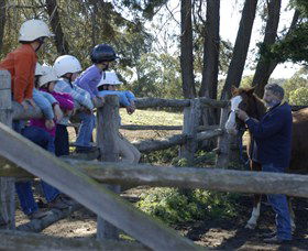 Harlow Park Horse Riding - Accommodation Brunswick Heads 0