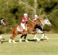 Morgan Park Warwick - Accommodation Brunswick Heads