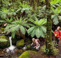 Baw Baw National Park - Accommodation Brunswick Heads