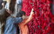 Australian War Memorial - thumb 0