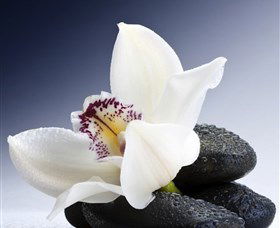 H2O Spa - Accommodation Brunswick Heads 1