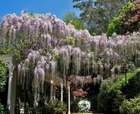 Mount Wilson NSW Accommodation Brunswick Heads