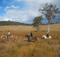 Chapman Valley Horse Riding - Accommodation Brunswick Heads