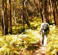 Federal Pass - Accommodation Brunswick Heads