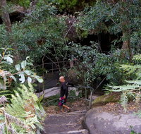 Leura Cascades Fern Bower - Accommodation Brunswick Heads
