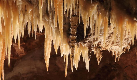 Wollondilly Cave - Accommodation Brunswick Heads 1