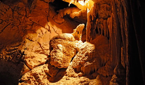 Fig Tree Cave - Accommodation Brunswick Heads 0