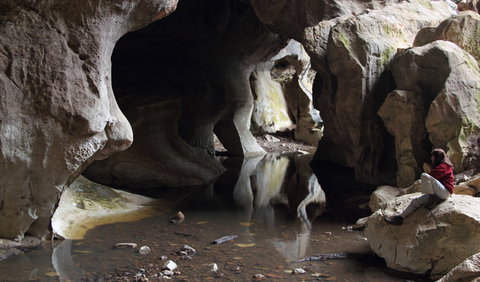 Fig Tree Cave - Accommodation Brunswick Heads 2