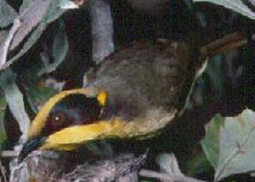 Tyers Park - Accommodation Brunswick Heads 0