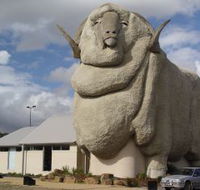 Big Merino - Accommodation Brunswick Heads