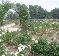 Victoria Park Rose Garden - Accommodation Brunswick Heads