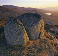 Main Range Track - Accommodation Brunswick Heads