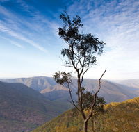 Salisbury Waters walking track - Accommodation Brunswick Heads