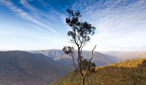 Salisbury Waters Walking Track - Accommodation Brunswick Heads 0