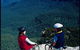 Andersons Fire Trail - thumb 0