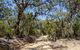 Howes Trail - thumb 0