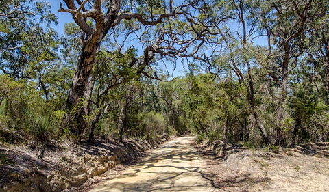 Howes Trail - Accommodation Brunswick Heads 0