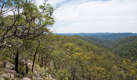 Howes Trail - Accommodation Brunswick Heads 2