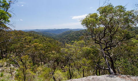 Howes Trail - Accommodation Brunswick Heads 3
