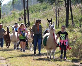Ottaba Llamas - Accommodation Brunswick Heads 0