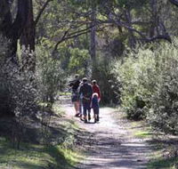 Syd's Rapids and Aboriginal Heritage Trail Avon Valley - Accommodation Brunswick Heads