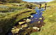 Australian Alps Walking Track - thumb 0