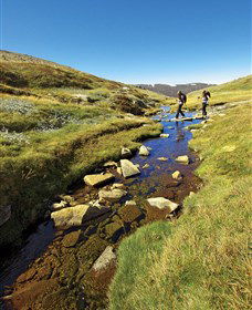 Australian Alps Walking Track - Accommodation Brunswick Heads 0