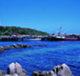 King Island Dairies - Accommodation Brunswick Heads