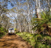Barrington trail - Accommodation Brunswick Heads