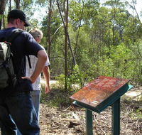 Finchley cultural walk - Accommodation Brunswick Heads