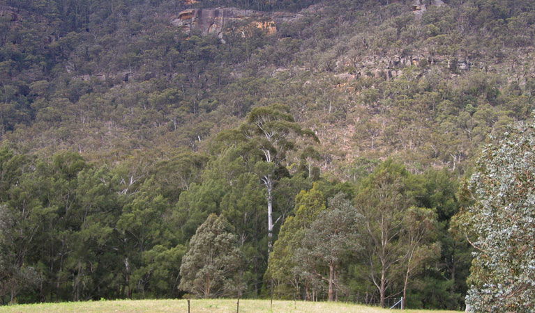 Joadja NSW Accommodation Brunswick Heads