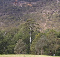 Bangadilly National Park - Accommodation Brunswick Heads