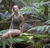 Barrington Tops National Park - Honeysuckle Forest Track - Accommodation Brunswick Heads