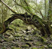 Mitchell River National Park - Accommodation Brunswick Heads