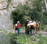 Yarramba Horse Riding - Accommodation Brunswick Heads