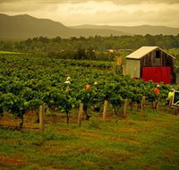 Around Hermitage Wine and Food Trail Hunter Valley - Accommodation Brunswick Heads