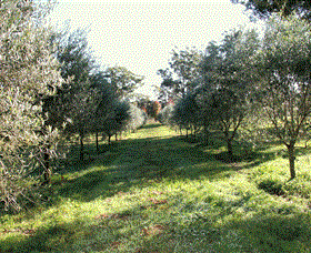 Langdale Farm - Accommodation Brunswick Heads