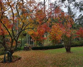 Bellbird Cottage - Accommodation Brunswick Heads 0